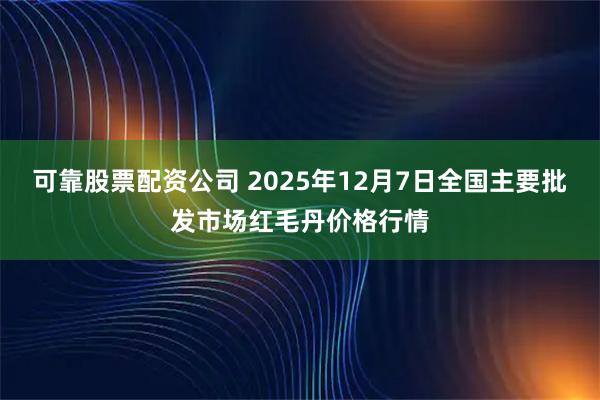 可靠股票配资公司 2025年12月7日全国主要批发市场红毛丹价格行情