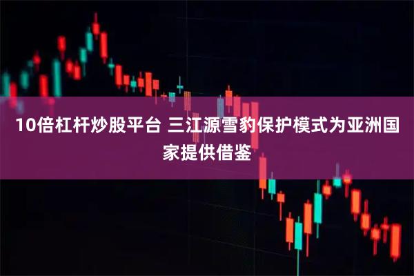10倍杠杆炒股平台 三江源雪豹保护模式为亚洲国家提供借鉴