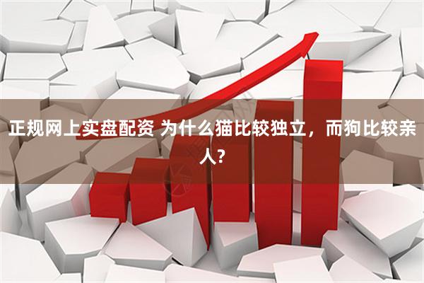 正规网上实盘配资 为什么猫比较独立，而狗比较亲人?